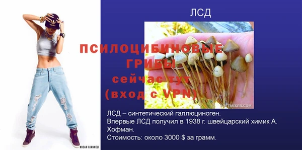 МДПВ Аркадак