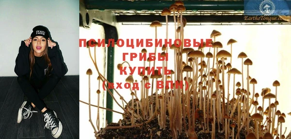 МДПВ Аркадак