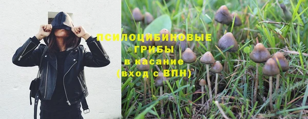 мдпв Балабаново