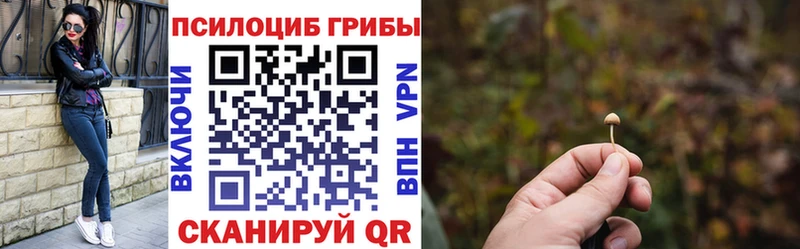 что такое   гидра   Галлюциногенные грибы Psilocybe  Сосновый Бор 